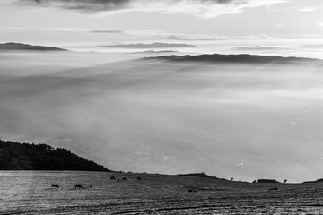 Some horses on top of a mountain, over a sea of fog filling the Umbria valley