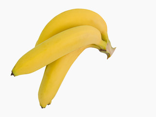 Bunch of fresh yellow bananas,Gros Michel banana isolated on white background