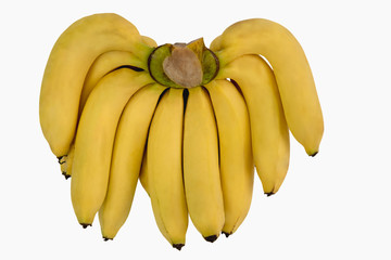 Bunch of fresh yellow bananas,Gros Michel banana isolated on white background