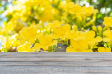 Wooden table top with Cat's Claw, Catclaw Vine, Cat's Claw Creeper plants flowers background