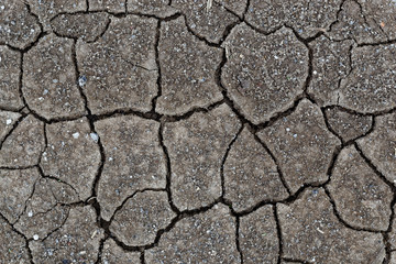 cracked earth texture