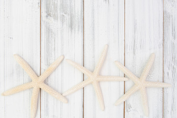 Fototapeta na wymiar Big starfishs on white wood table top background,top view