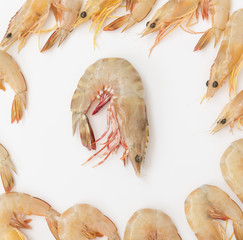 Raw fresh shrimps,prawns isolated on white background,top view
