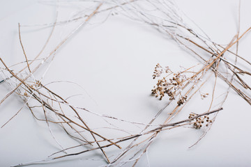 Texture. Dry grass on a white background