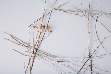 Texture. Dry grass on a white background