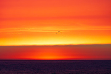 SUNSET OF ORANGE AND ATLANTIC SEA