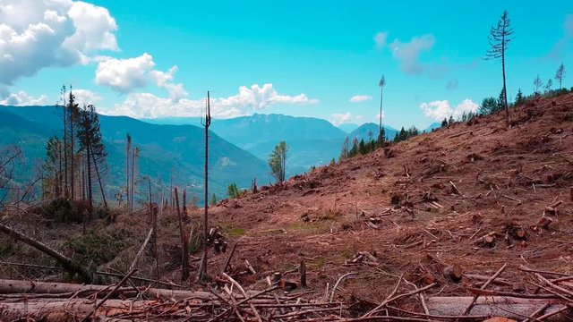 Cambiamenti climatici