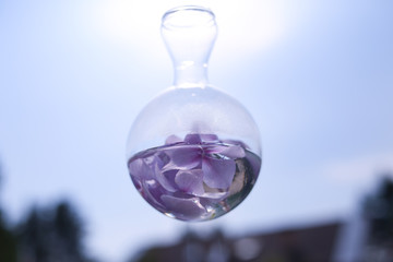 flower petals decorated glass outside hanging garland
