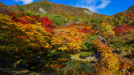 佐渡随一の紅葉名所、紅葉山