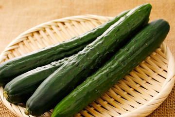 きゅうり　Japanese cucumber