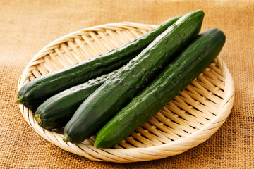 きゅうり　Japanese cucumber