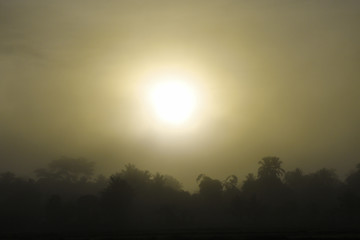 Obraz premium sunrise with the mist over the forest in the summer, Nature background with sunny beams, Sun rising above the forest