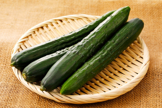キュウリ の写真 ロイヤリティフリーの画像 グラフィック ベクターおよびビデオ Adobe Stock