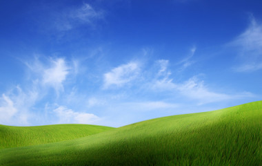 Green land with blue sky landscape background