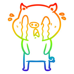 rainbow gradient line drawing crying pig cartoon