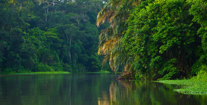Tortuguero River, Tortuguero National Park, Costa Rica, Central America, America