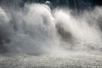 Naklejka premium Birds flying over the roaring Niagara Falls