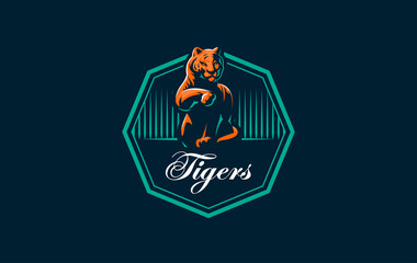 Tiger is washing its paw. 