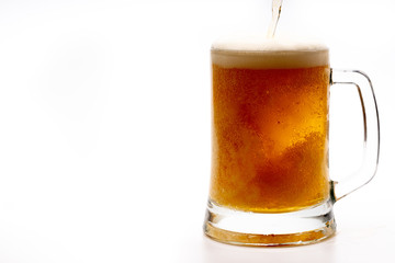 glass of beer on white background