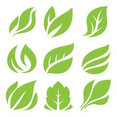 leaves icon set, leaf design for natural and green logo concept.