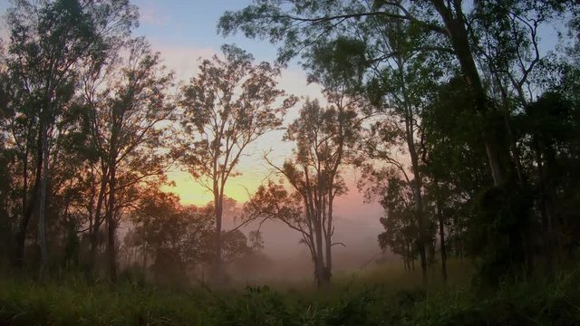 Timelapse of a dramatic and misty outback sunrise, as the clouds hurry past and the mist ebbs and flows like water