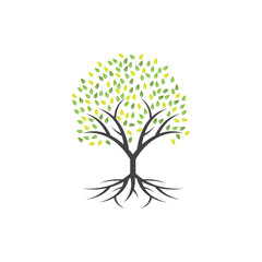 Obraz premium Tree clip art graphic design template vector isolated