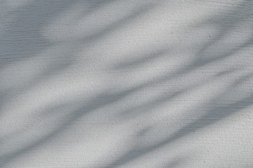 Leaves Shadow on the white concrete wall