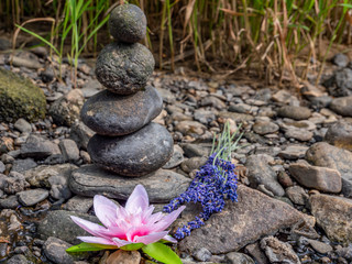 Gleichgewicht der Steine mit Lotusblume