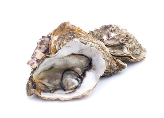 Fresh  oyster on white background