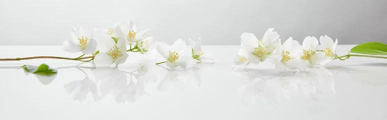 Gordijnen panoramisch schot van jasmijnbloemen op wit oppervlak © LIGHTFIELD STUDIOS
