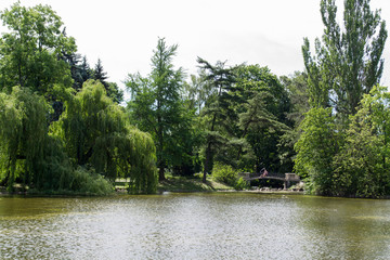 Lago en un parque