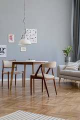 Design scandinavian home interior of sitting room with stylish wooden chairs, family table, plant, accessories and mock up posters gallery wall. Gray background walls. Retro cozy home decor. Template.