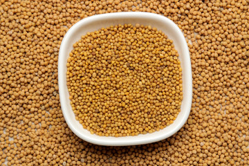 dry mustard seeds in a bowl on a light concrete table. cooking mustard sauce close-up. top view