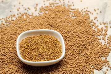 dry mustard seeds in a bowl on a light concrete table. cooking mustard sauce close-up.