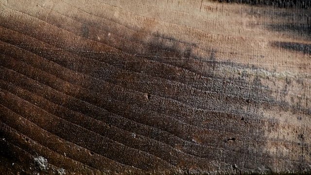 木　WOOD　焦げる