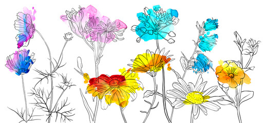 vector drawing flowers