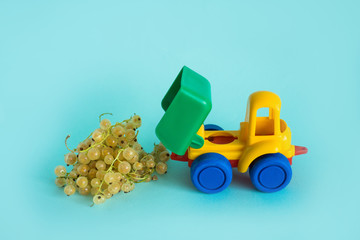 white currant natural vitamins are in the back of a truck poured out in a children's toy car food delivery truck logistics