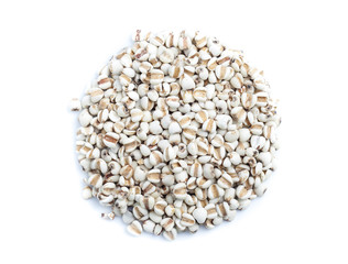 Job's Tears on white background