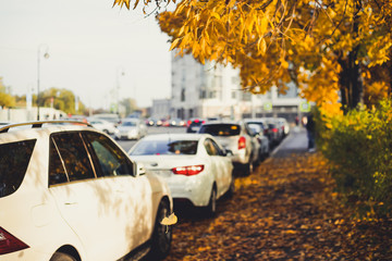 Cars parked on city street in autumn.