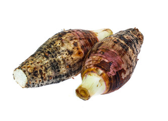taro isolated on white background