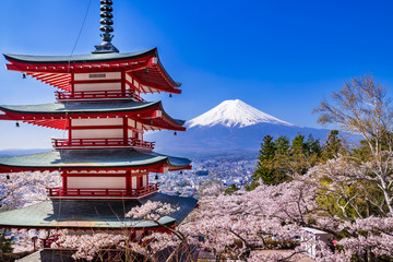 新倉山浅間公園 満開の桜と富士山