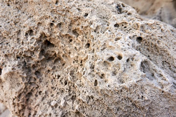 Limestone on the beach in Israel, with holes in it made by water. 