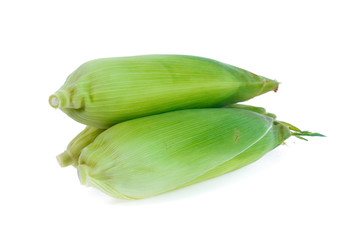 Corn on white background