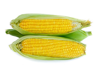 Corn on white background