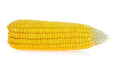 Corn on white background