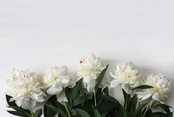 White peonies on white wooden background. Copy space. Wedding, gift card, valentine's day or mothers day background.