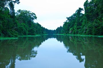 Tortuguero River, Tortuguero National Park, Costa Rica, Central America, America