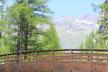 Fototapeta premium wooden bridge in front of mountains