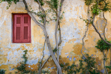 Closed window blind of an old building surrounded by plant