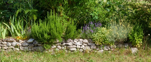 Tuinposter Rand van geneeskrachtige en aromatische planten © Olivier-Tuffé